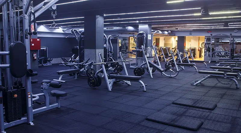 VivaGym Actur