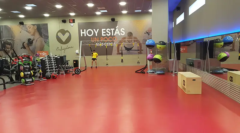 VivaGym Embajadores
