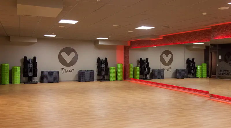VivaGym Manso